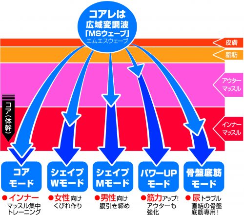 コアレ波形イメージ